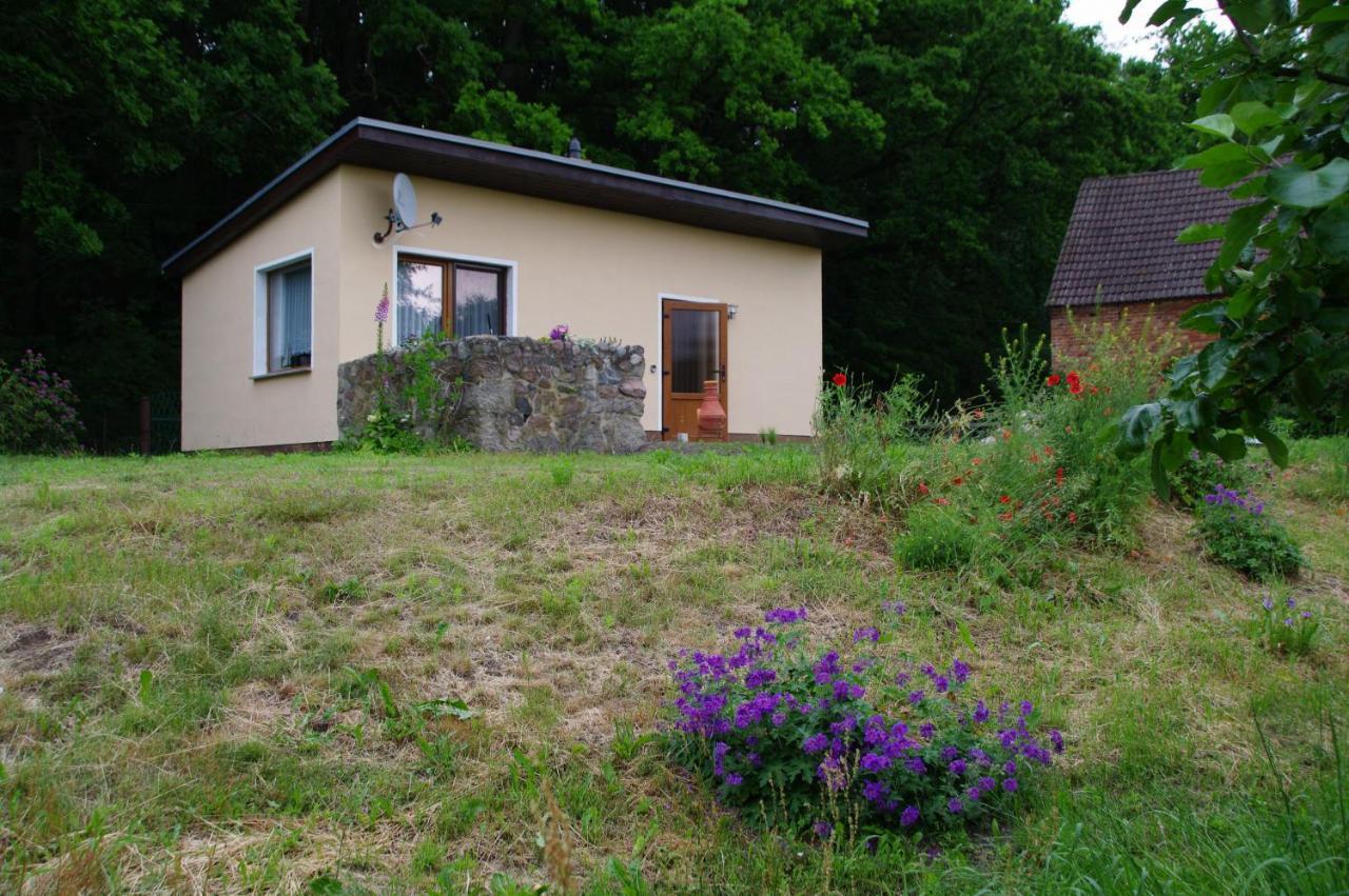 Bungalow Am Forsthaus Stagniess Uckeritz Exteriér fotografie